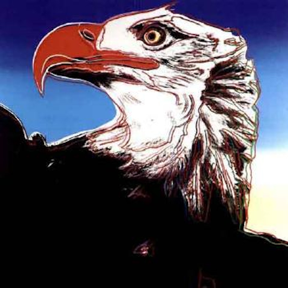 Bald eagle by Andy Warhol