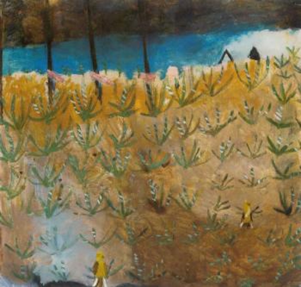 The tillering of the wheat by Mary Newcomb