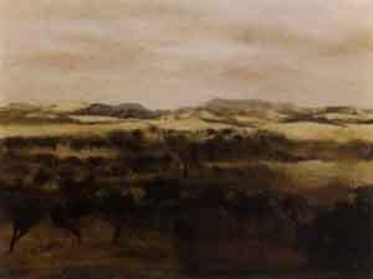 Landscape by Ray Austin Crooke