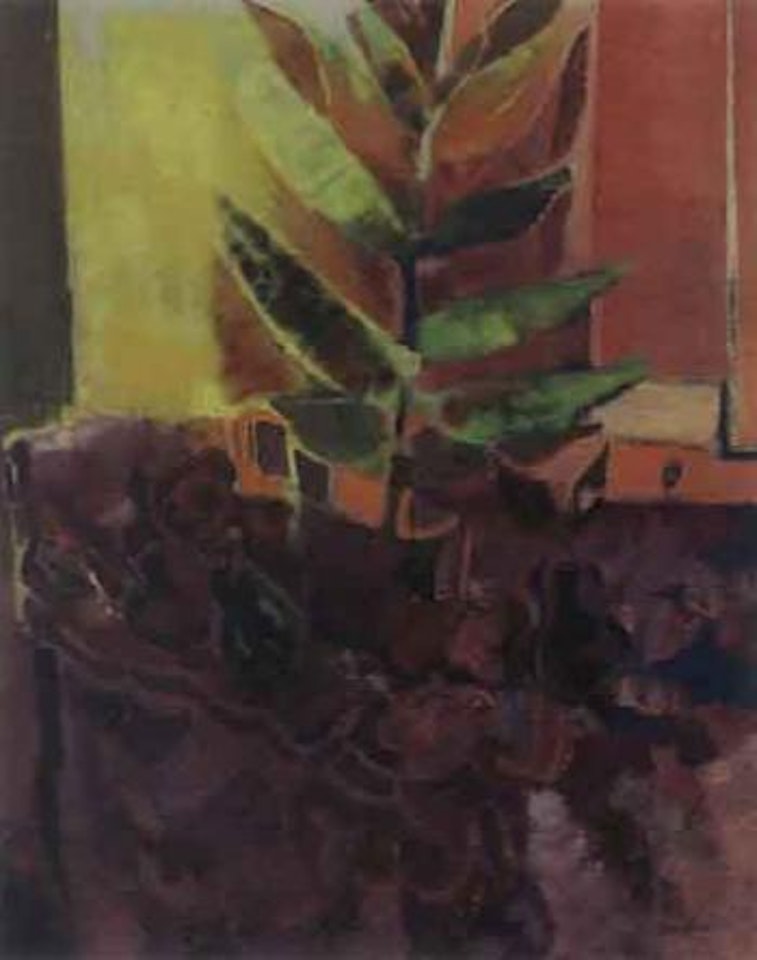 Still life with apples by Sakti Burman