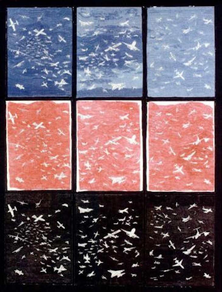 Planes by Alighiero Boetti