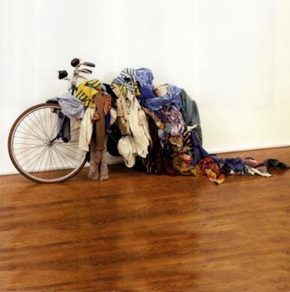 Peacock by Michelangelo Pistoletto