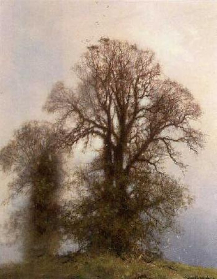 English oaks by David Shepherd