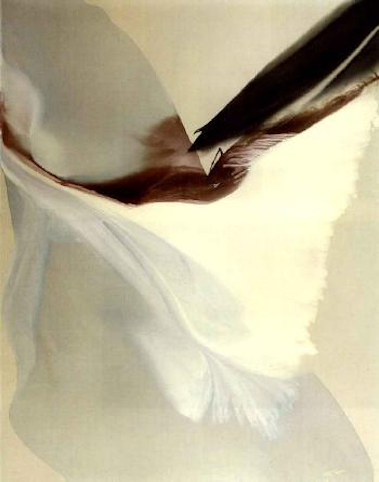 Phenomena, blindfolded in Mars red by Paul Jenkins