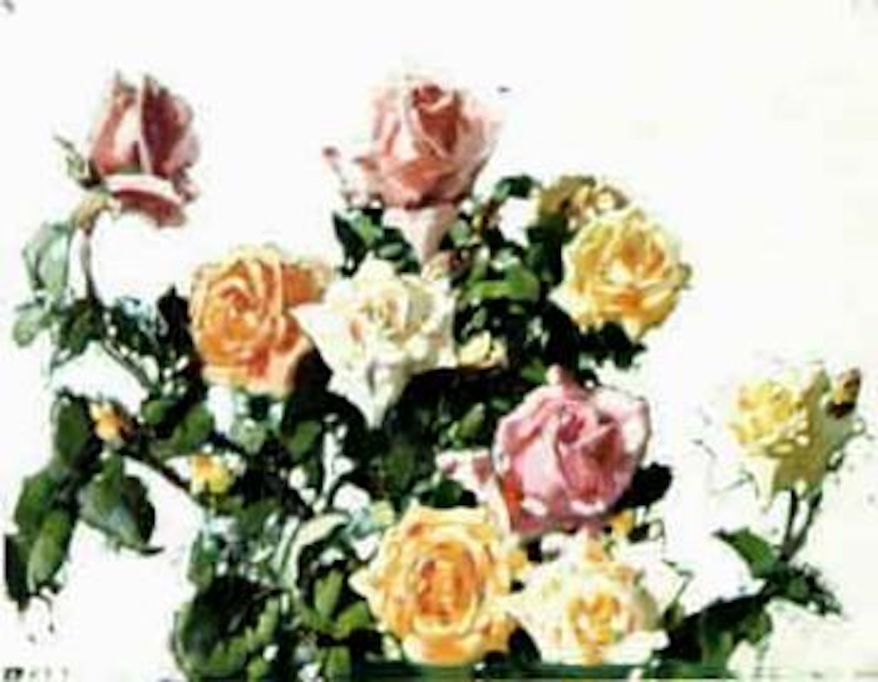 Still life of roses by Robert Gwelo Goodman