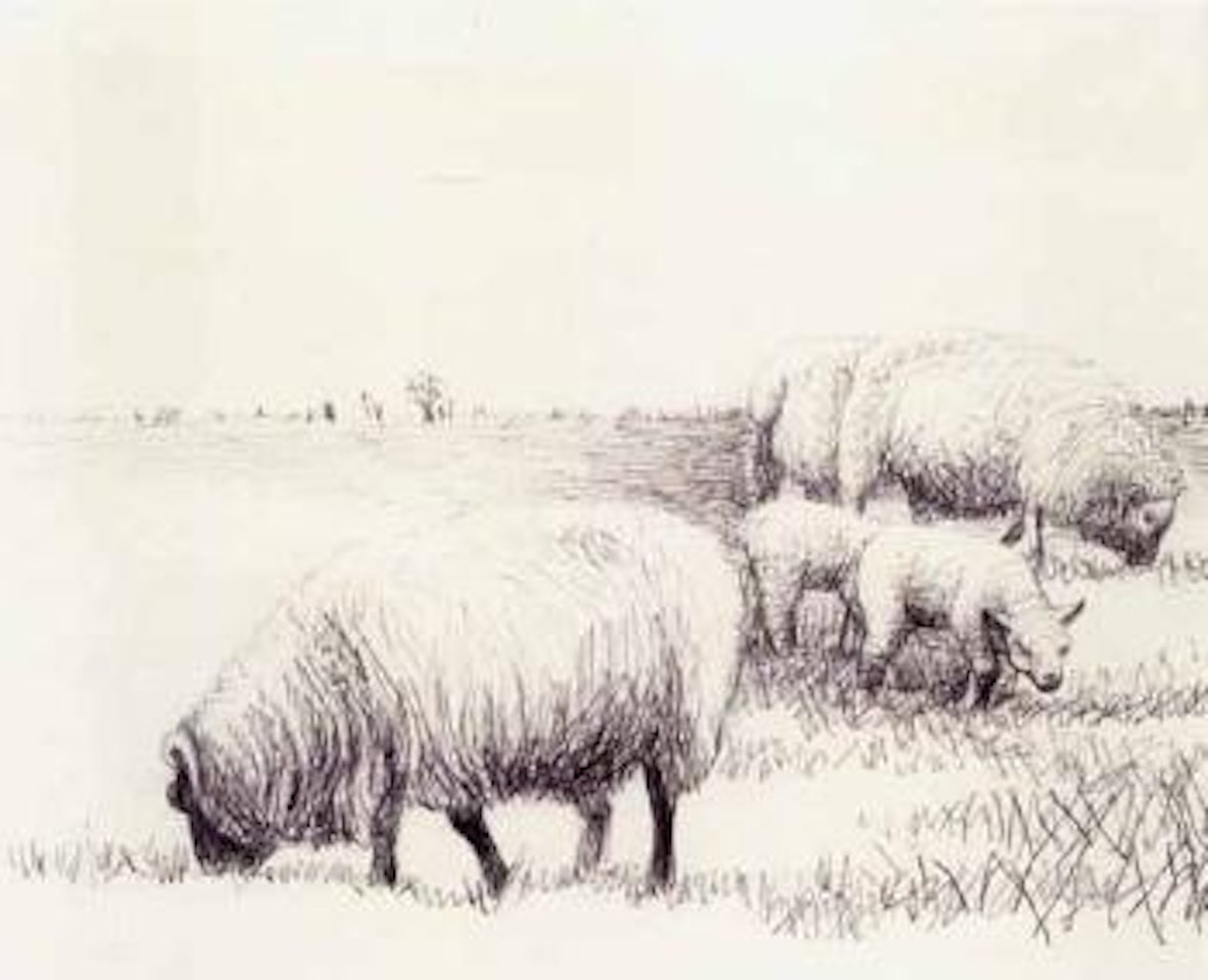 Three sheep and two lambs by Henry Moore