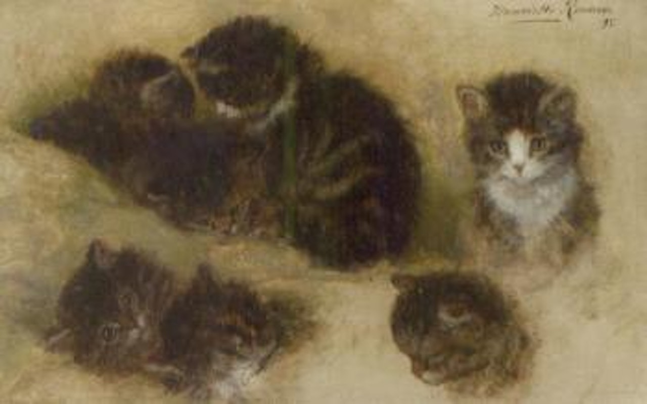 Studies of kittens by Henriette Ronner-Knip