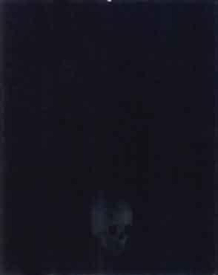 Sunbathers by Harry Callahan