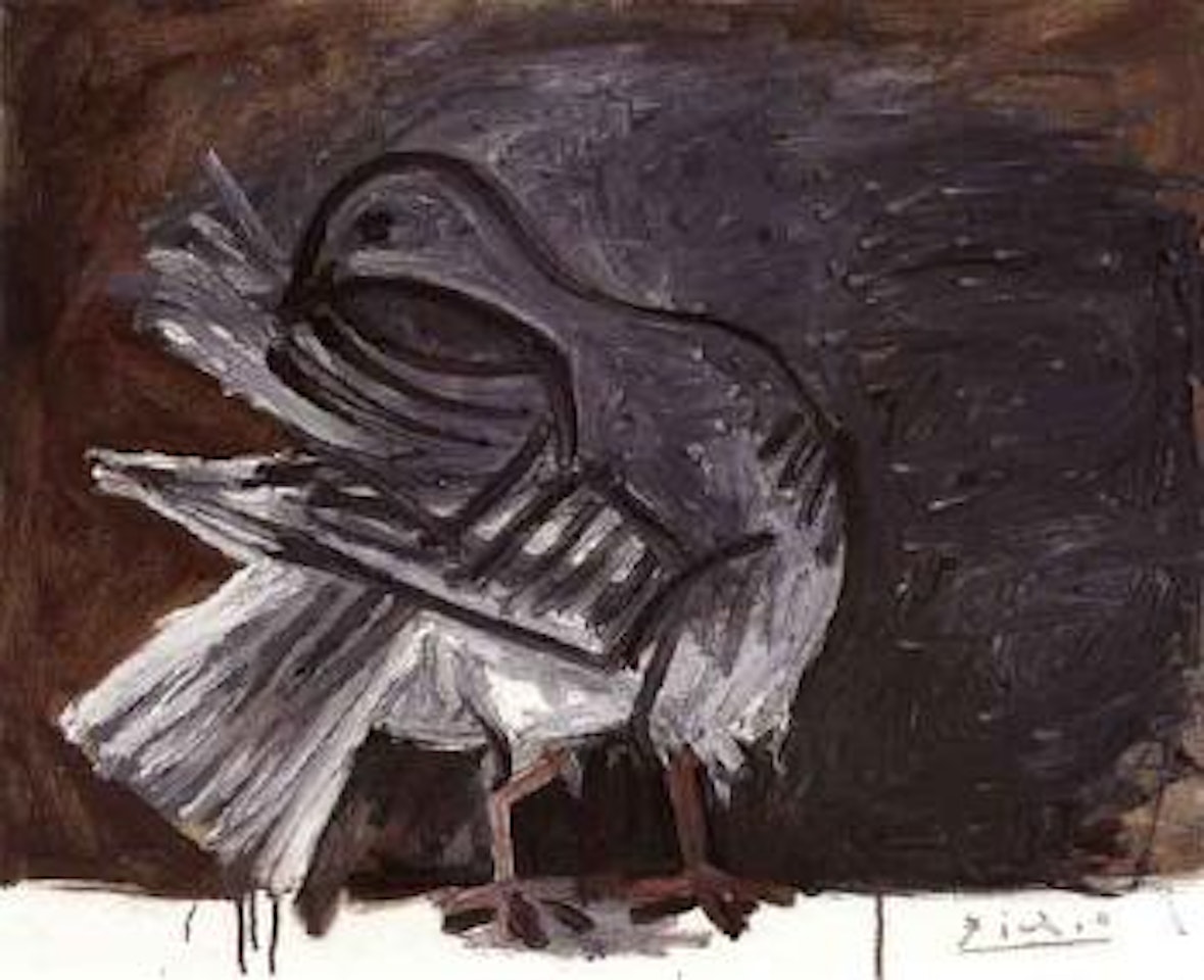 Pigeon lissant ses plumes by Pablo Picasso