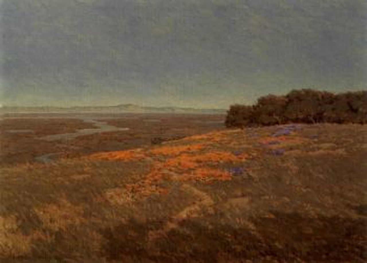 California landscape with poppies and lupine by Granville Redmond
