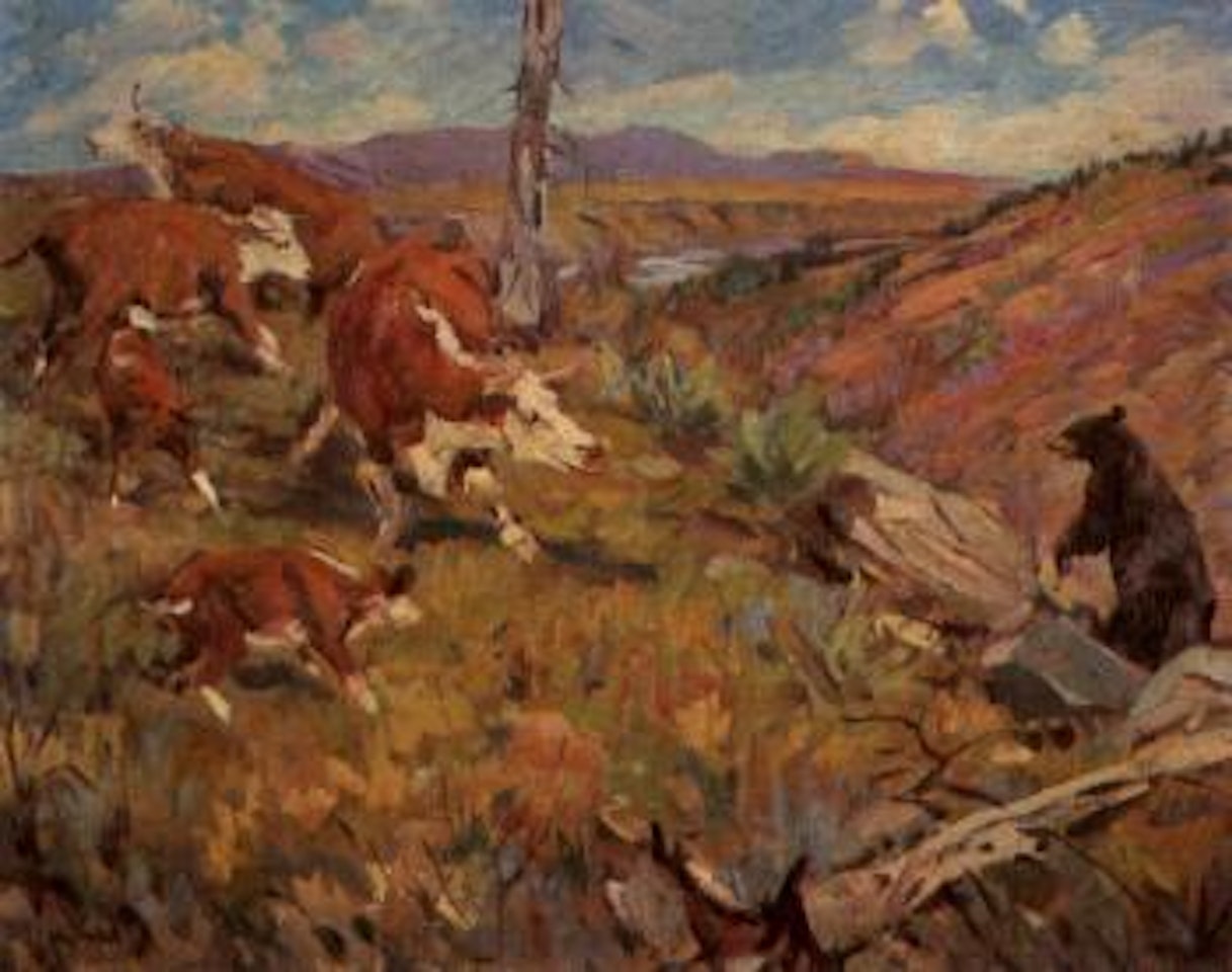 Bear turmoil by Frank B. Hoffman