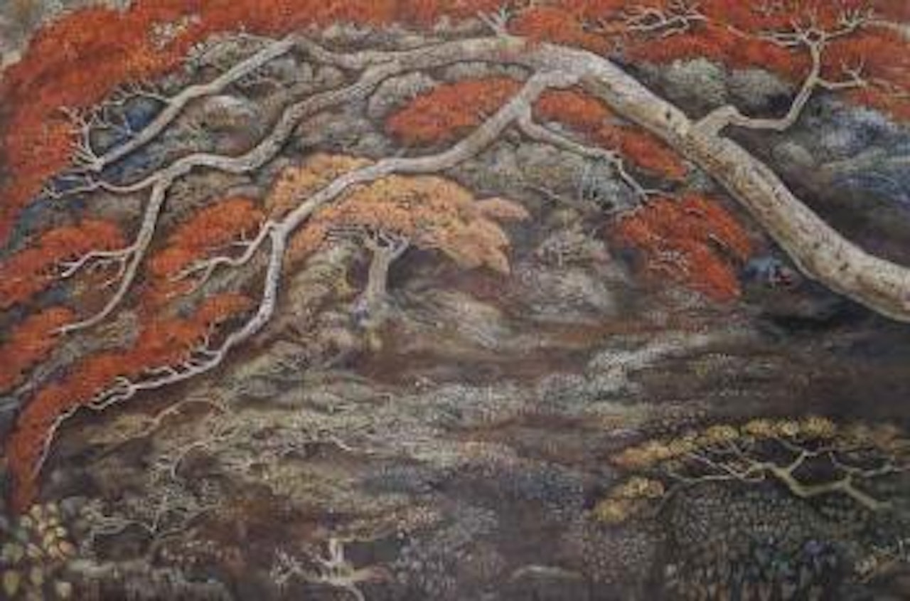 Poinciana trees by Haji Widayat