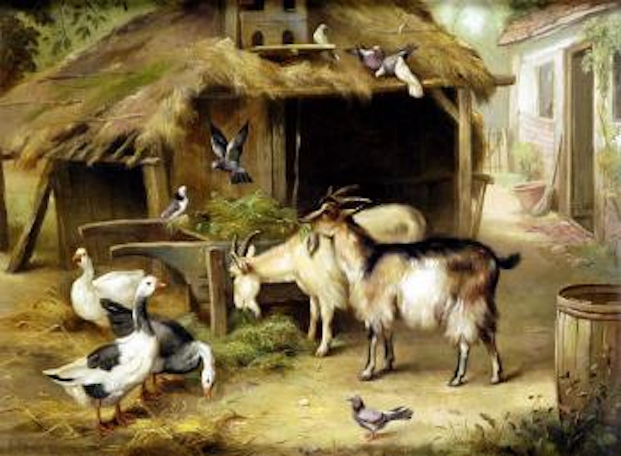 Farmyard friends, terrier and doves by Edgar Hunt