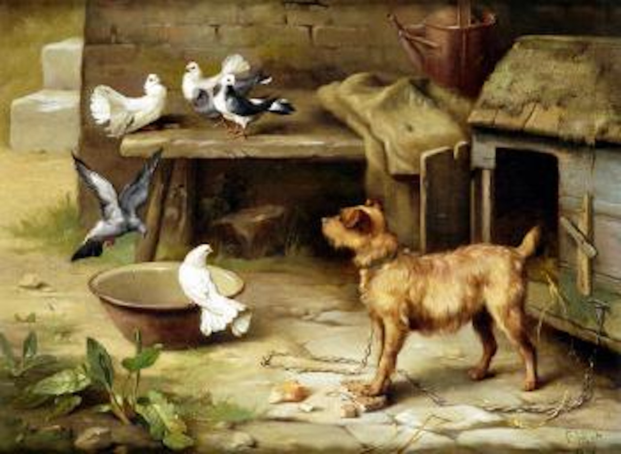 Farmyard friends, with goat, geese and pigeons by Edgar Hunt