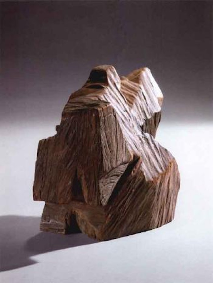 Taichi series by Ju Ming