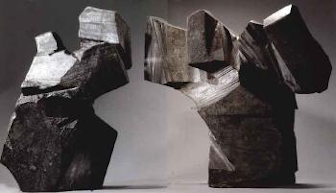 Taichi series by Ju Ming