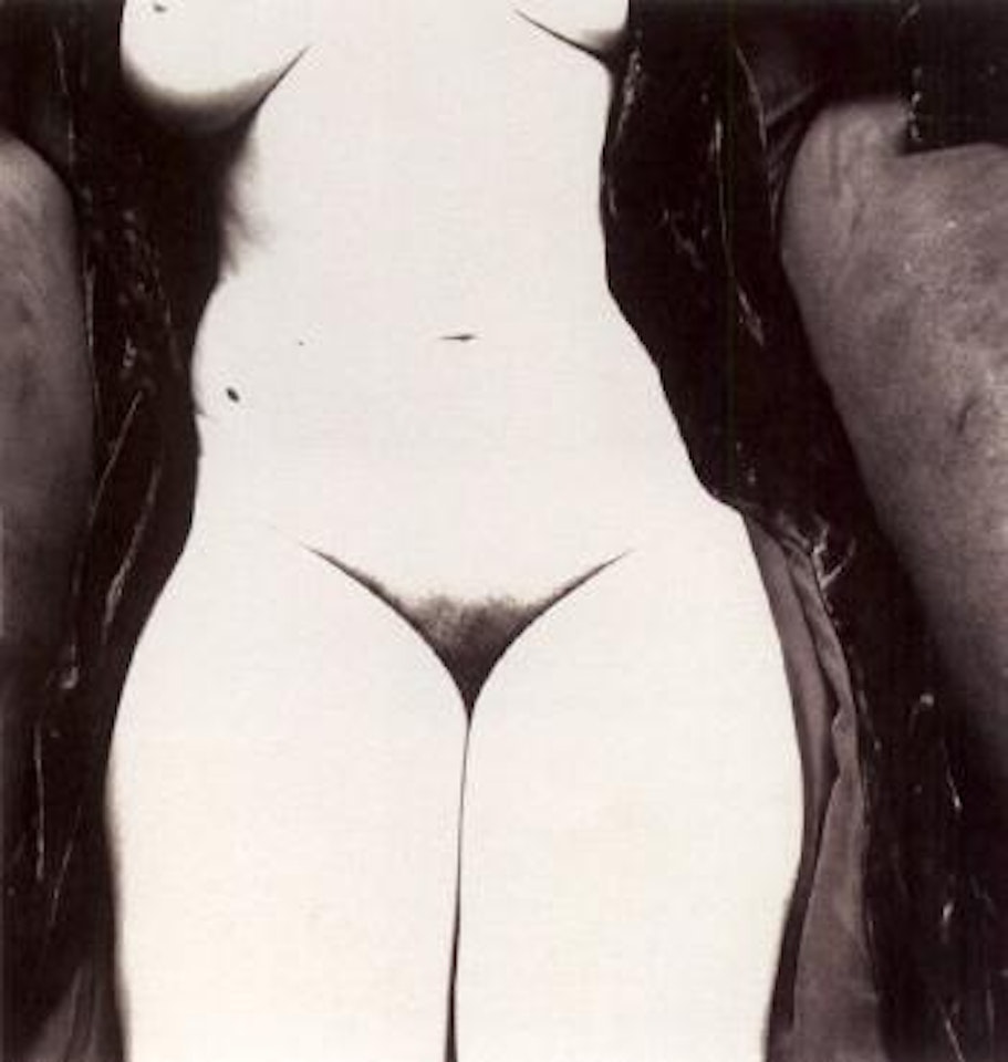 Nude no.115 by Irving Penn