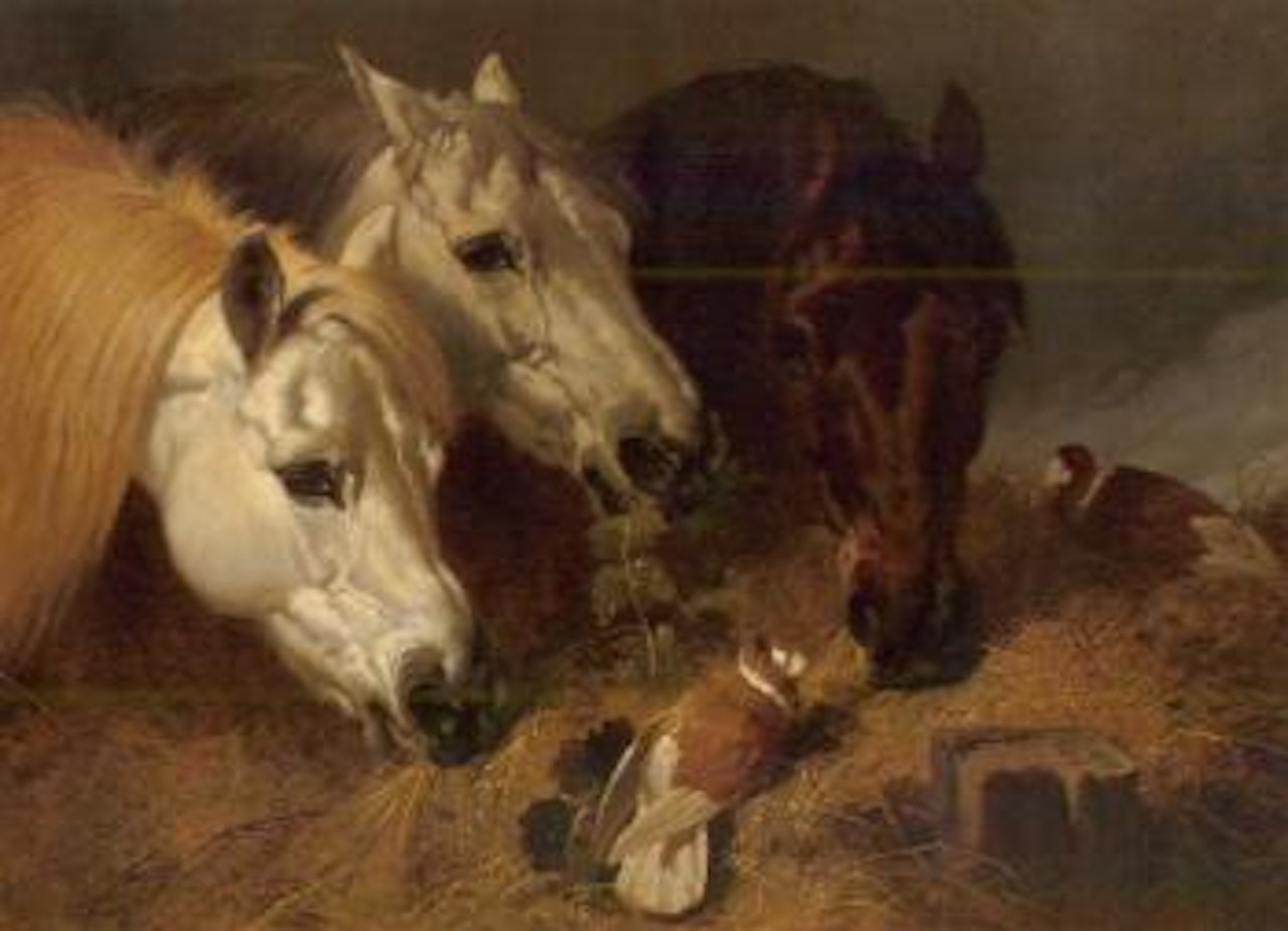Horses feeding with two ornamental pigeons at a manger by John Frederick Herring