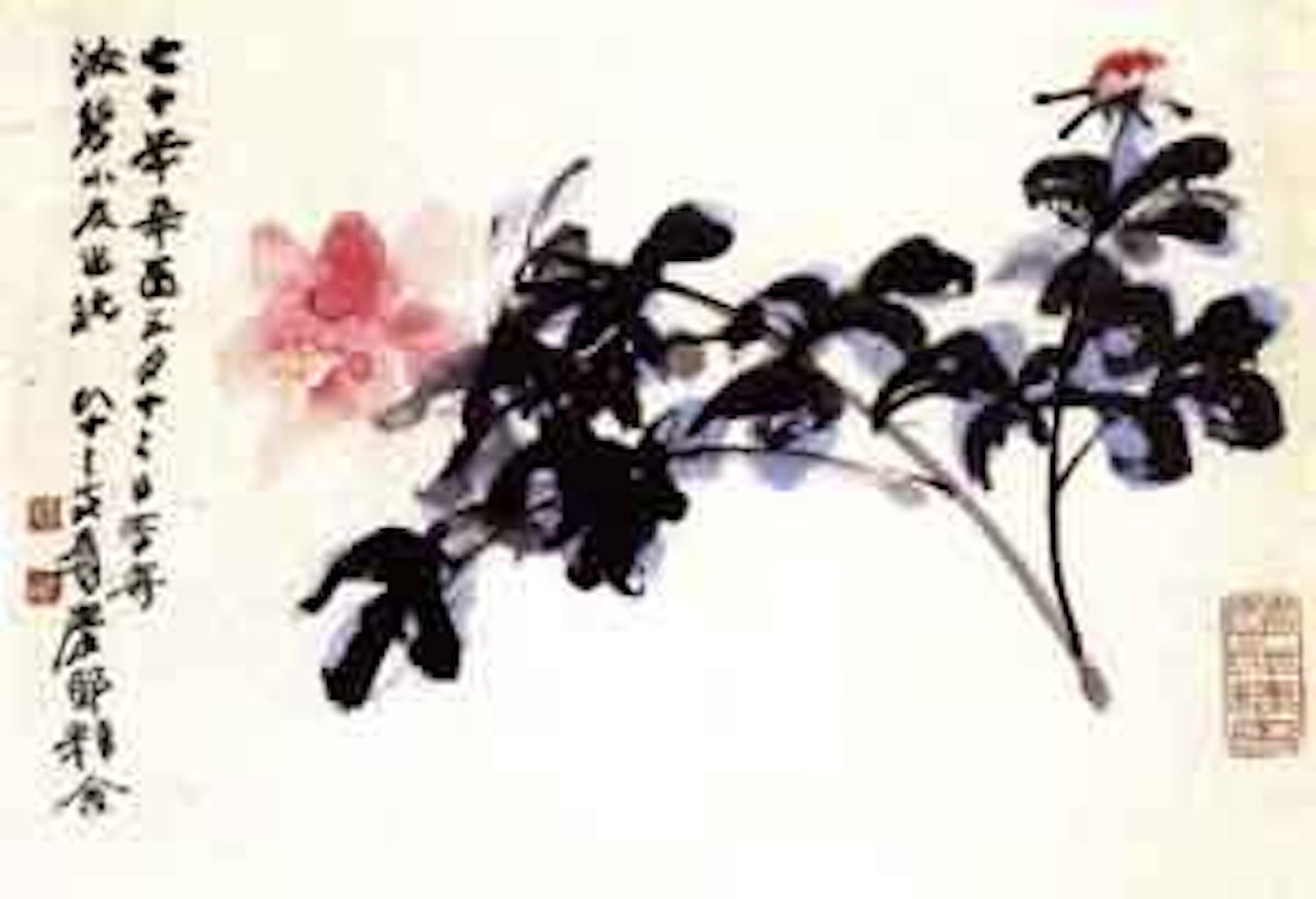 Peony by Zhang Daqian