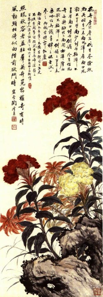 Cockscomb and amaranth by Lengyue Tao
