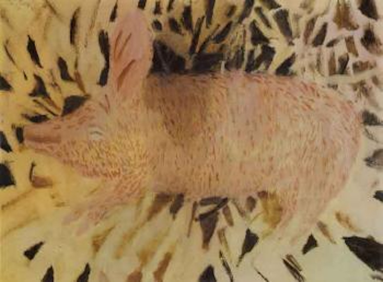 Shadow falling on a Tarnworth sow by Mary Newcomb