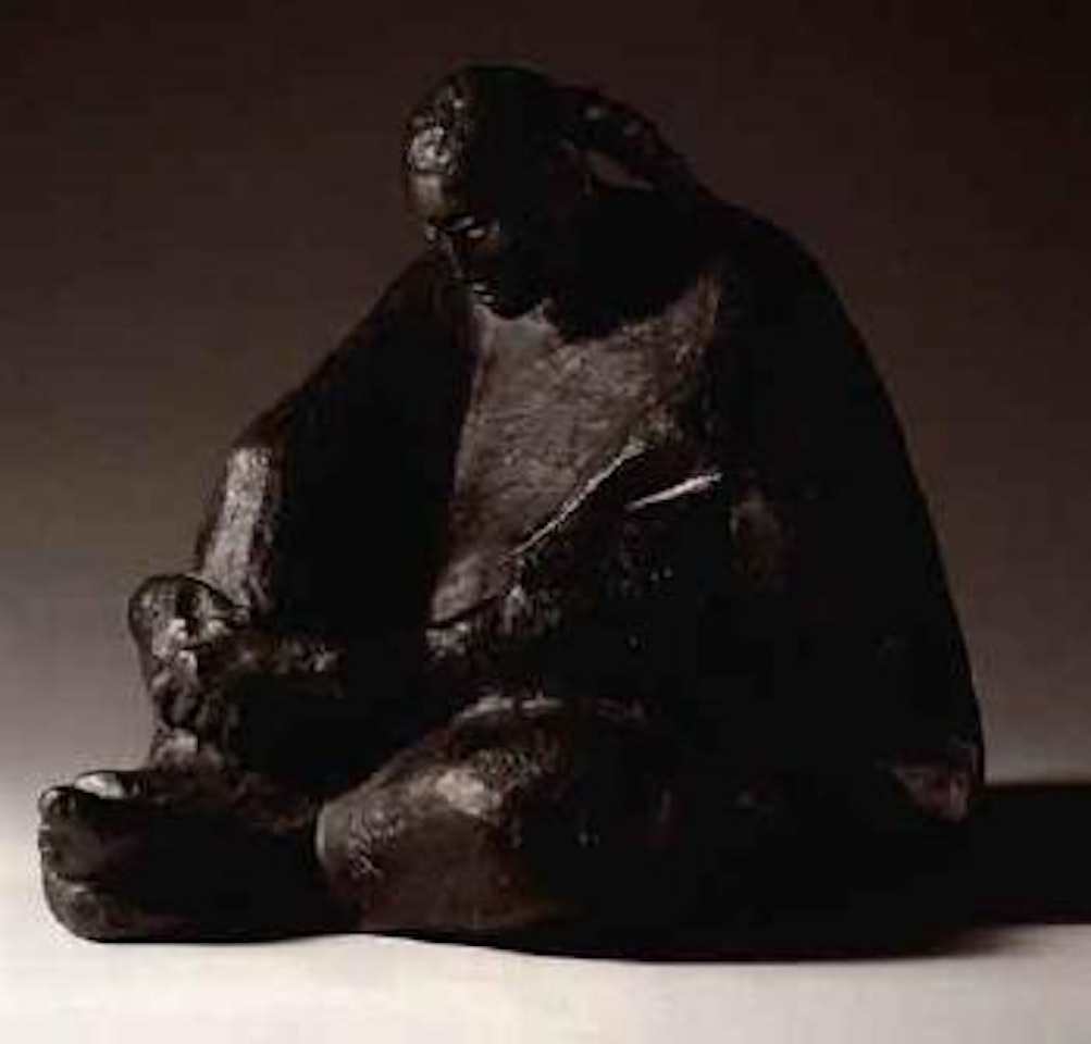 Seated woman with poncho by Francisco Zuñiga