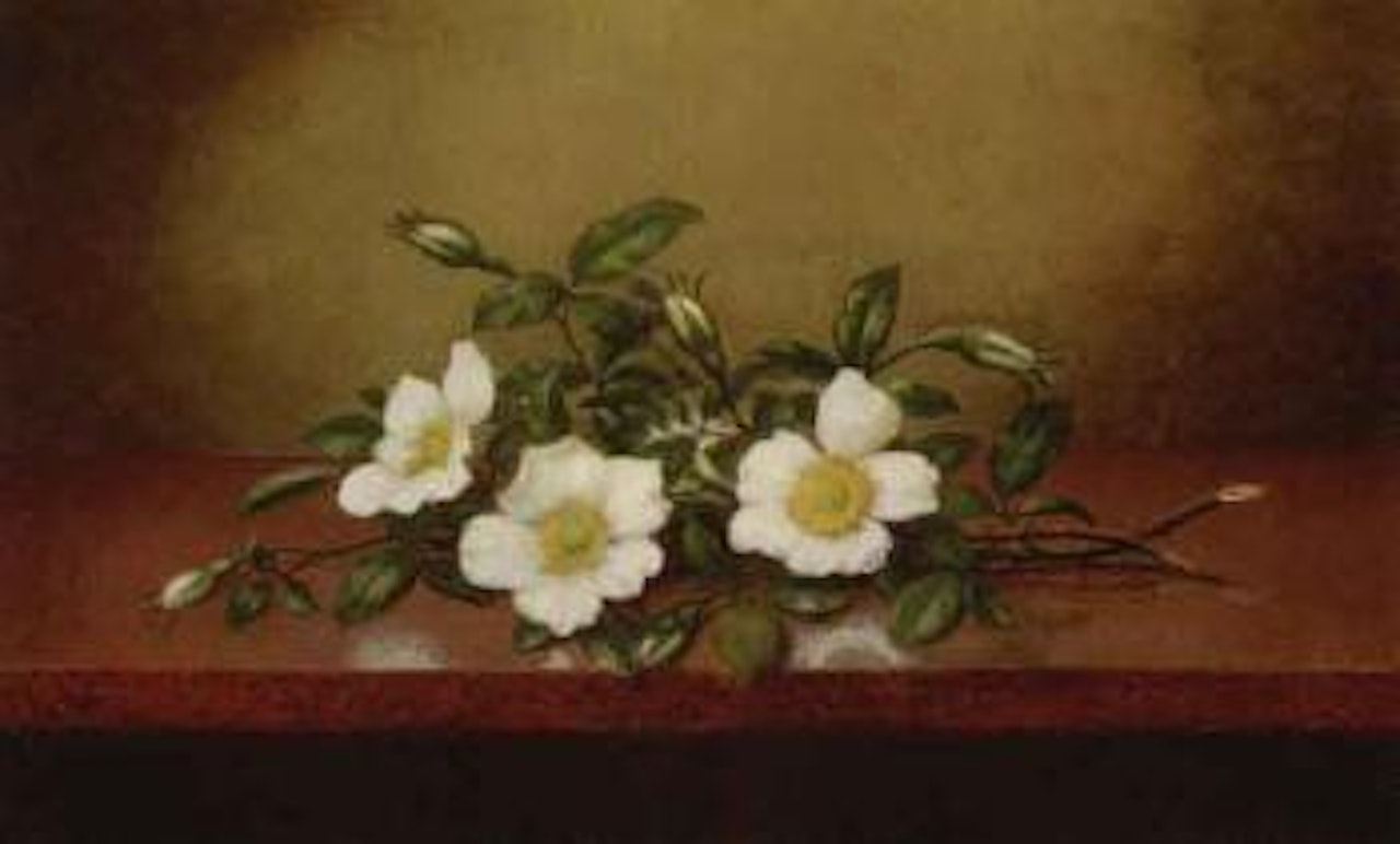 Cherokee roses on a shiny table by Martin Johnson Heade