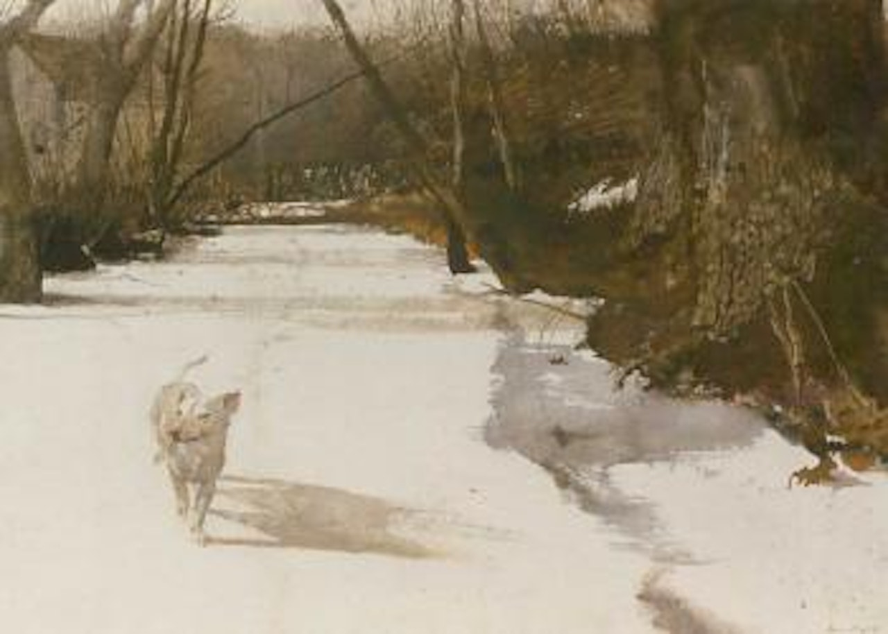 Race run by Andrew Wyeth
