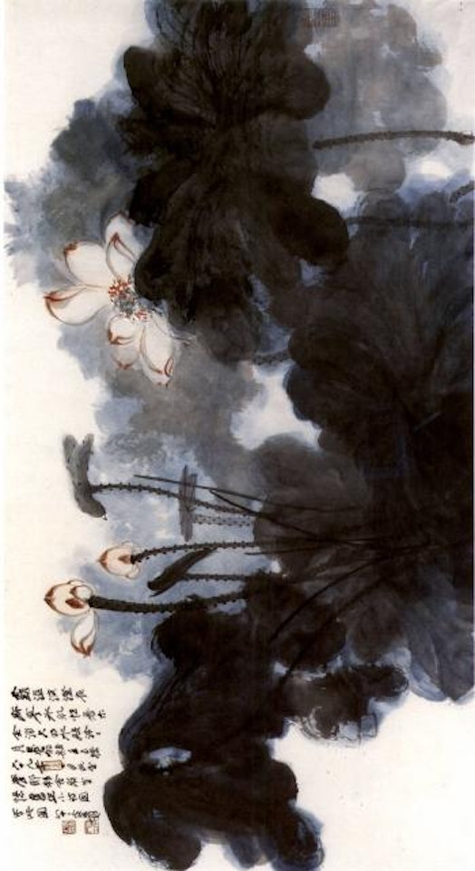 Lotus by Zhang Daqian