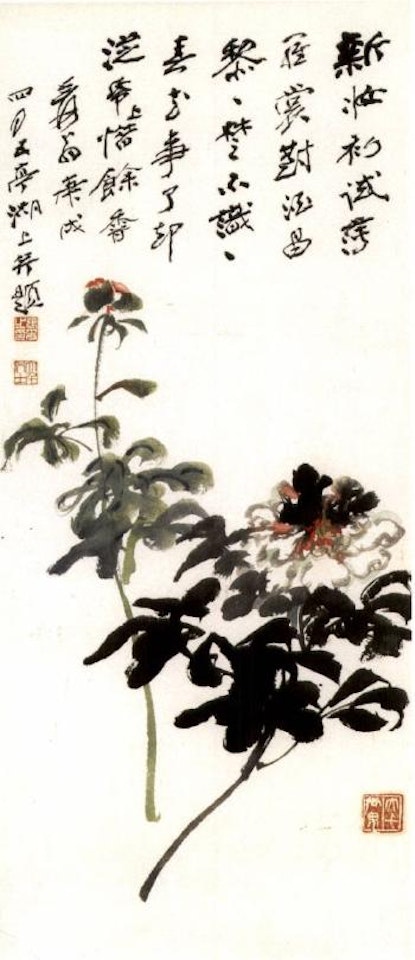 Peony by Zhang Daqian