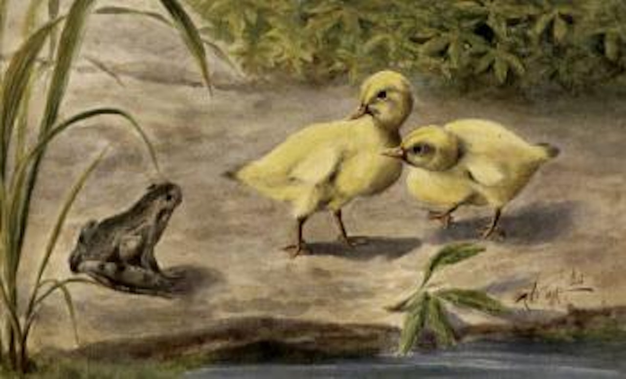 Ducks by Lengyue Tao