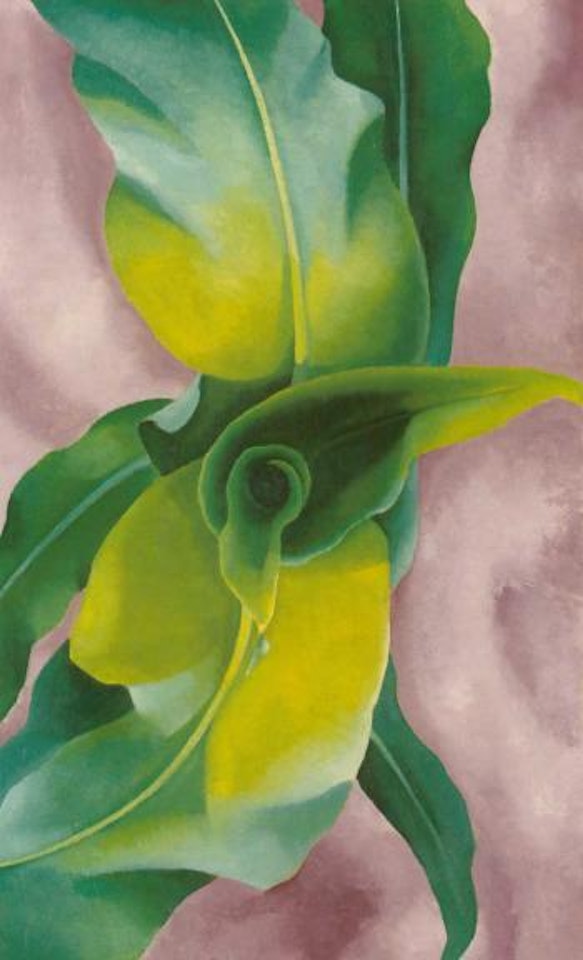 Corn no.III by Georgia O'Keeffe
