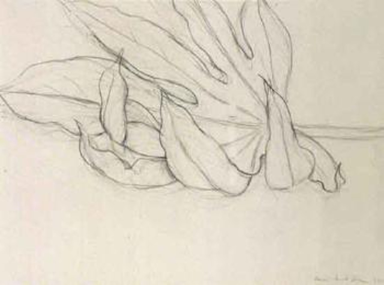 Une feuille en automne by Henri Matisse