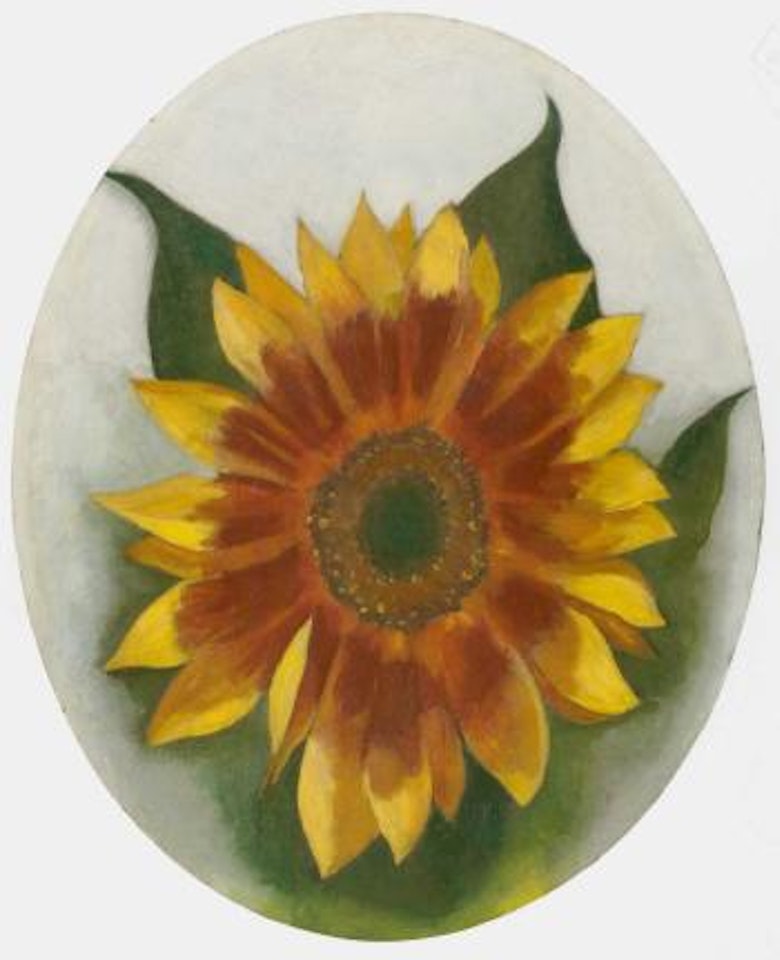 Sunflower by Georgia O'Keeffe