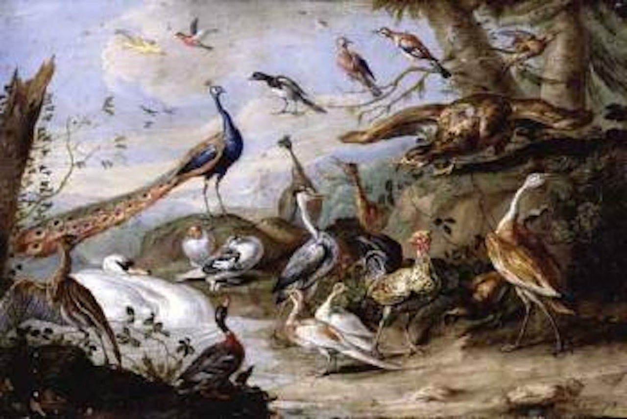 Various birds on a riverbank by Jan Van Kessel The Elder