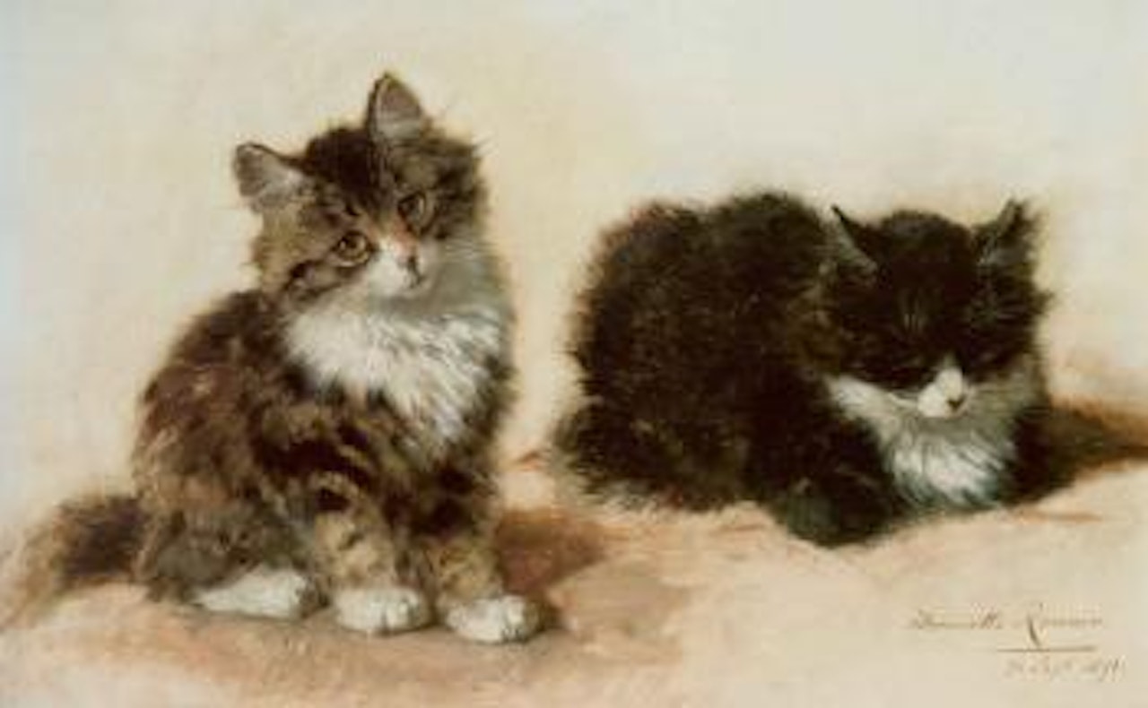 Banjo and his brother by Henriette Ronner-Knip