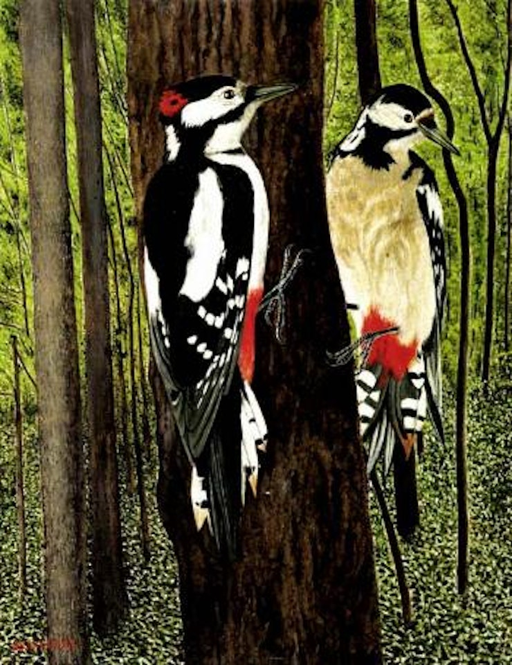 Spotted woodpecker by Adolf Dietrich
