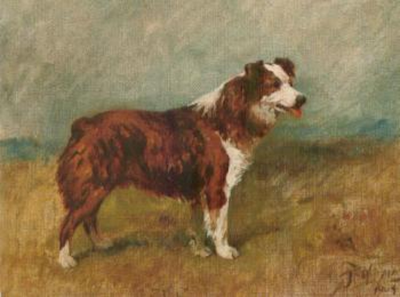 Bill, a collie by John Emms