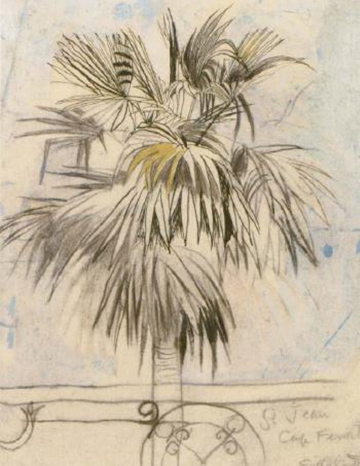 Palm tree, Cap Ferrat by Graham Sutherland