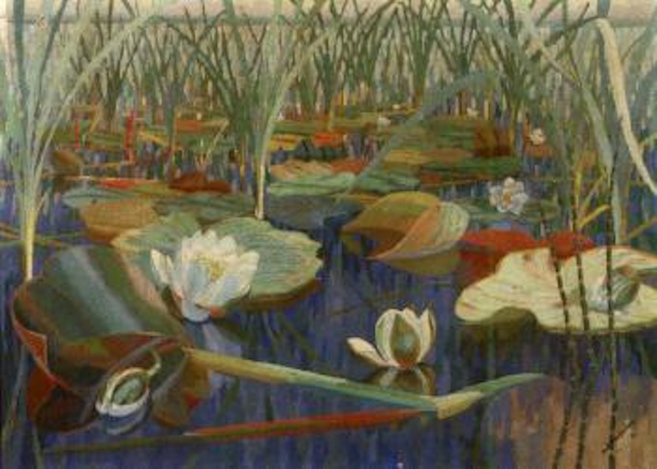 Waterlillies by Dirk Smoorenberg