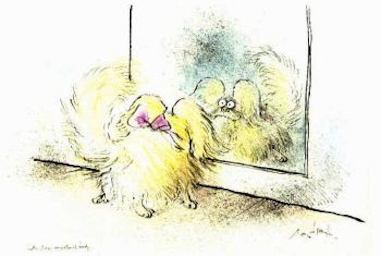 Such strange, unnatural beauty by Ronald Searle