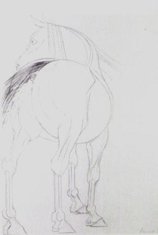 Study of a horse by Elisabeth Frink