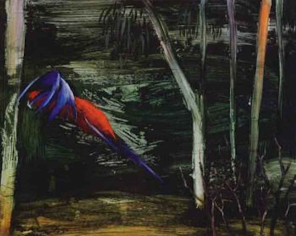 Parrot and bush 3 by Albert Tucker