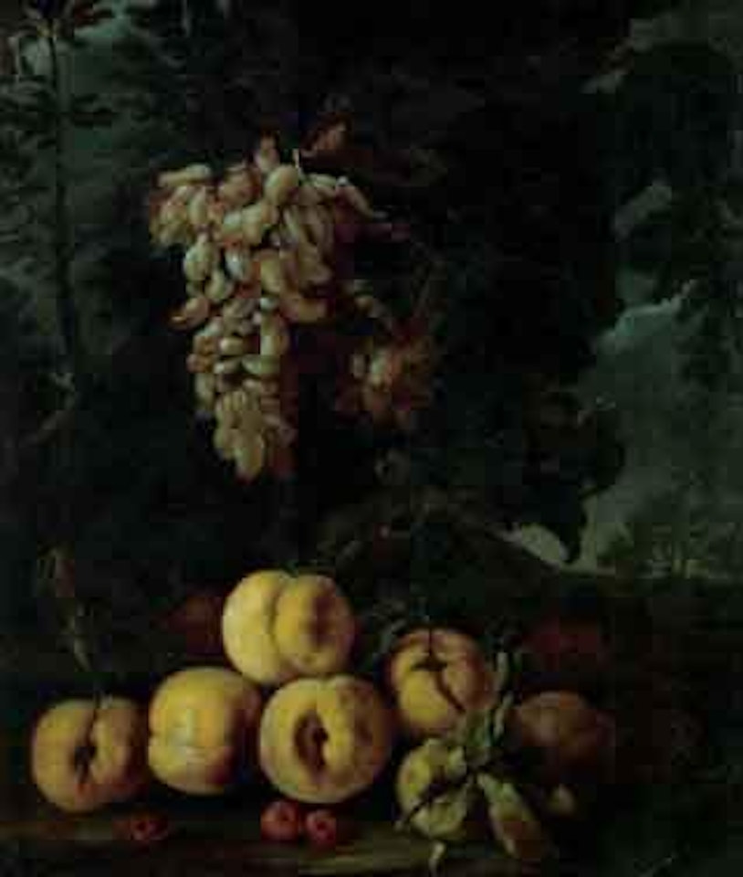 White grapes and peaches by Michele Pace del Campidoglio