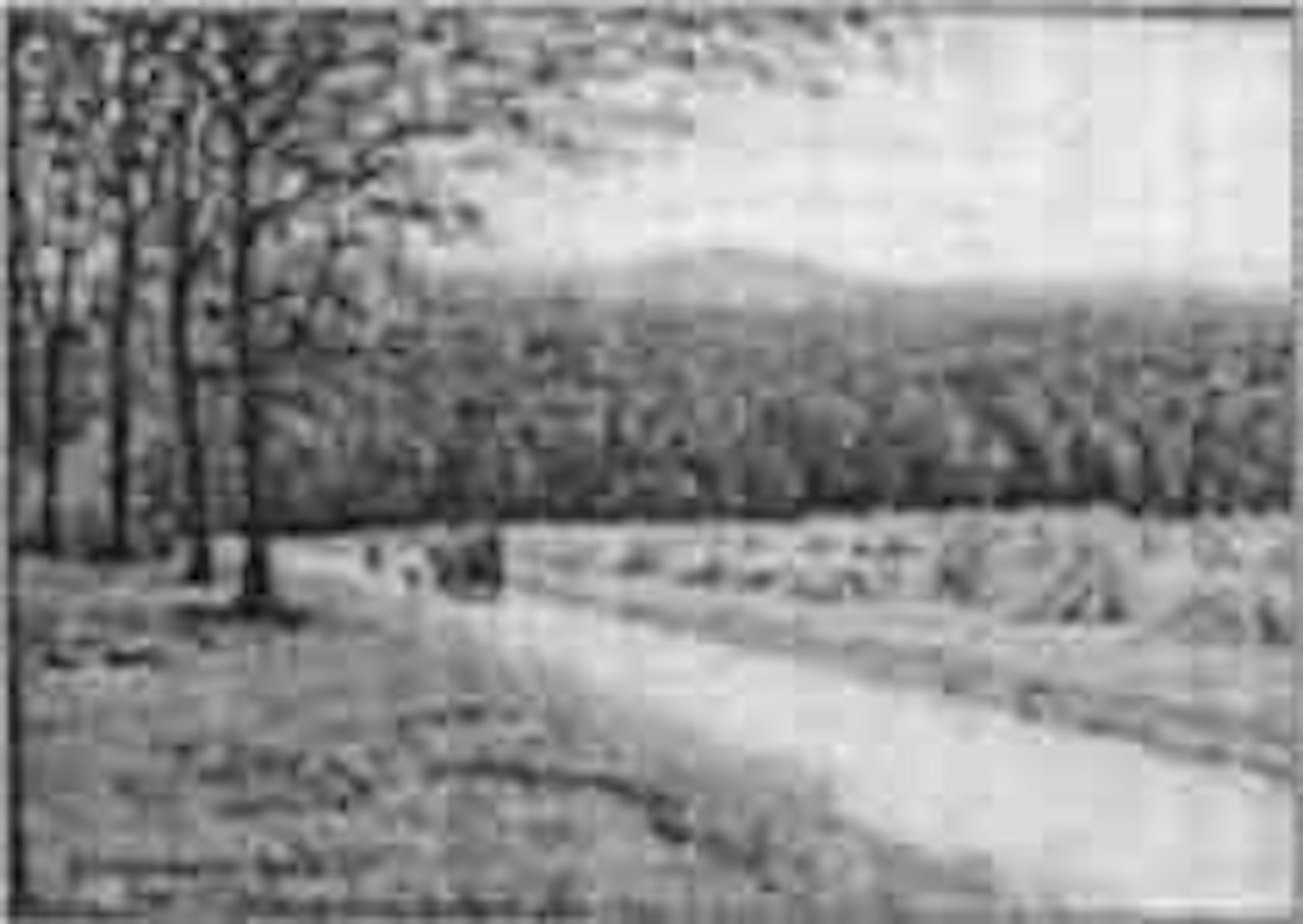 Sur le chemin des champs by Gustave Cariot