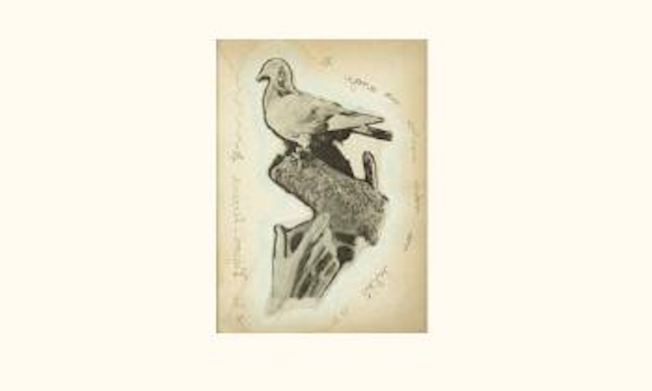 Le pigeon-terreur by Jean Cocteau