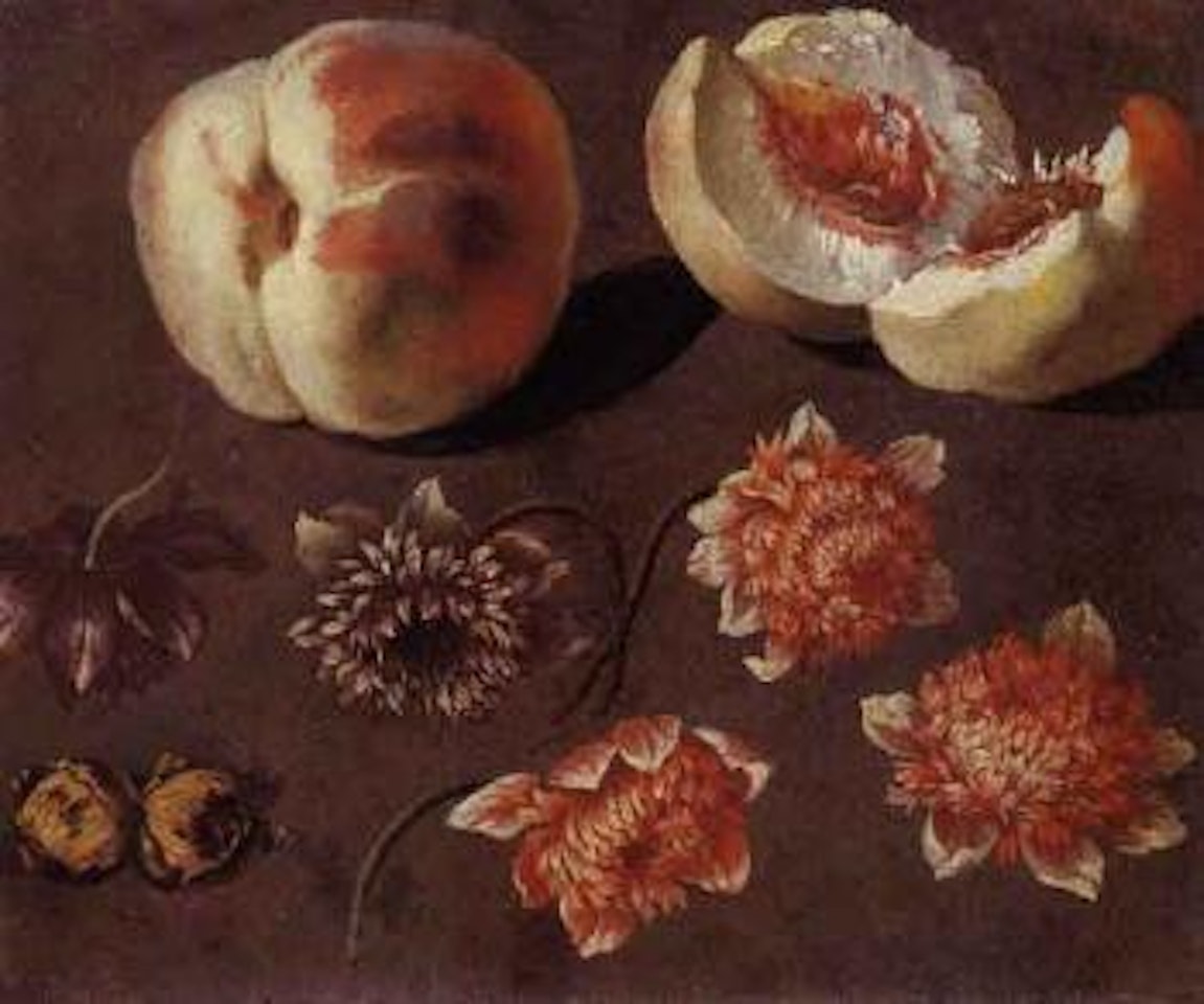 Study of fruit and flowers by Roman School