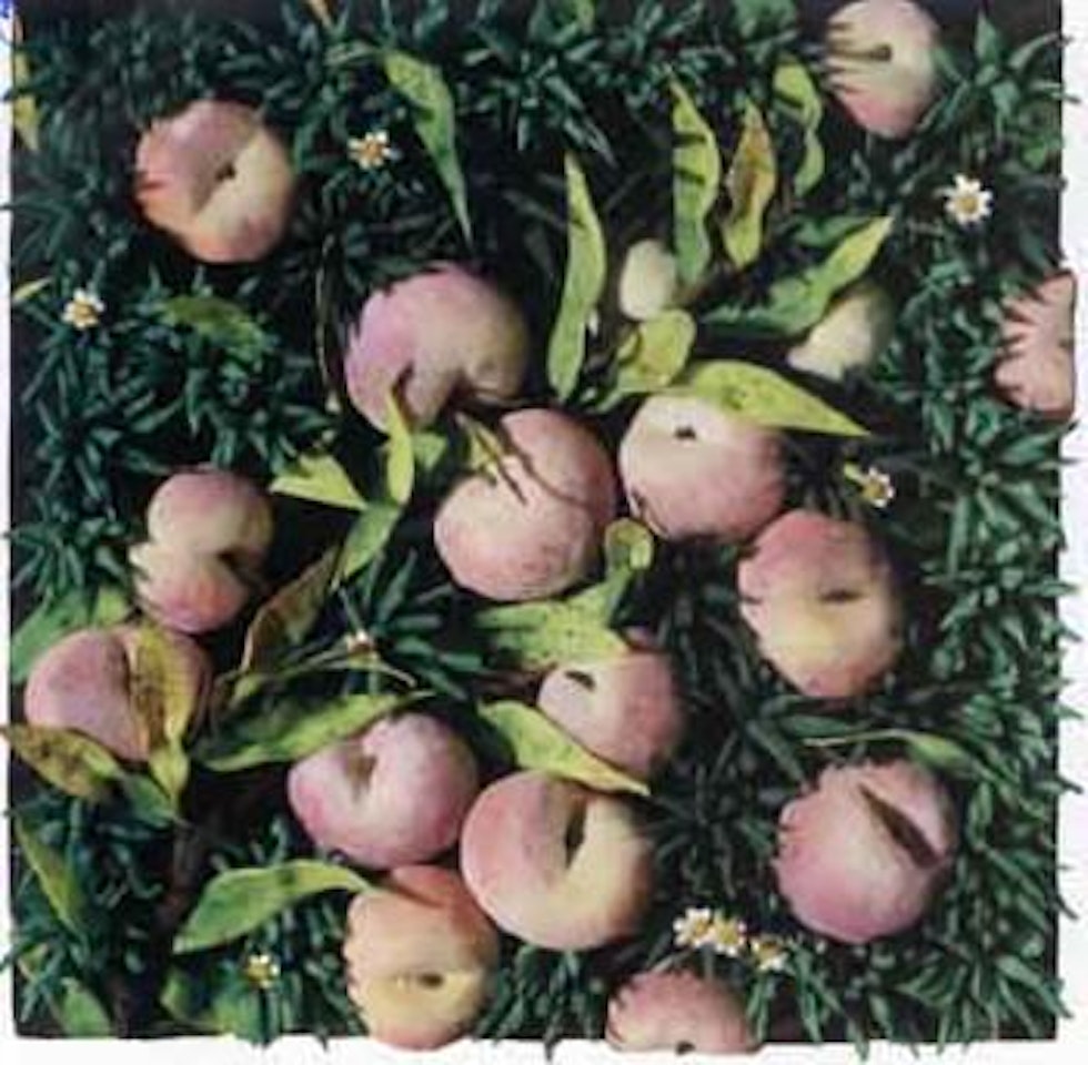 Fallen peaches by Piero Gilardi