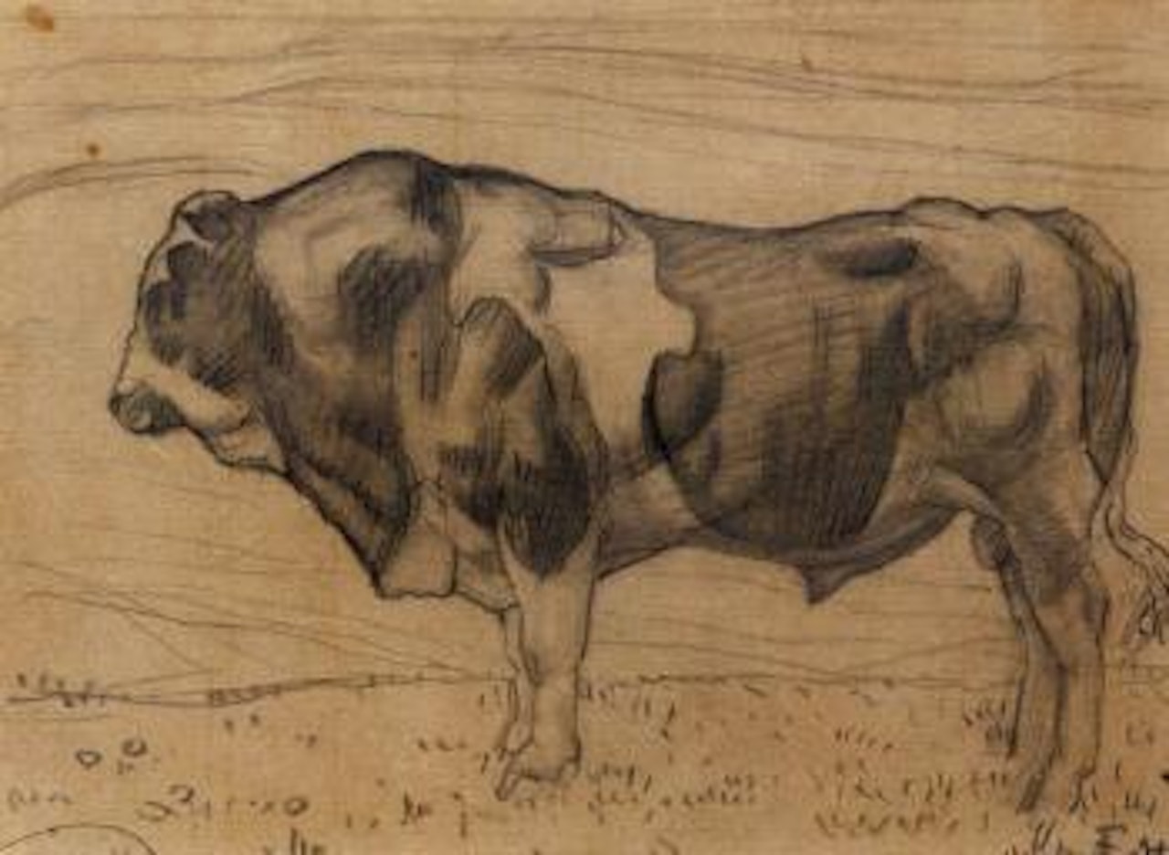 Portrait of a bull by Ferdinand Hodler