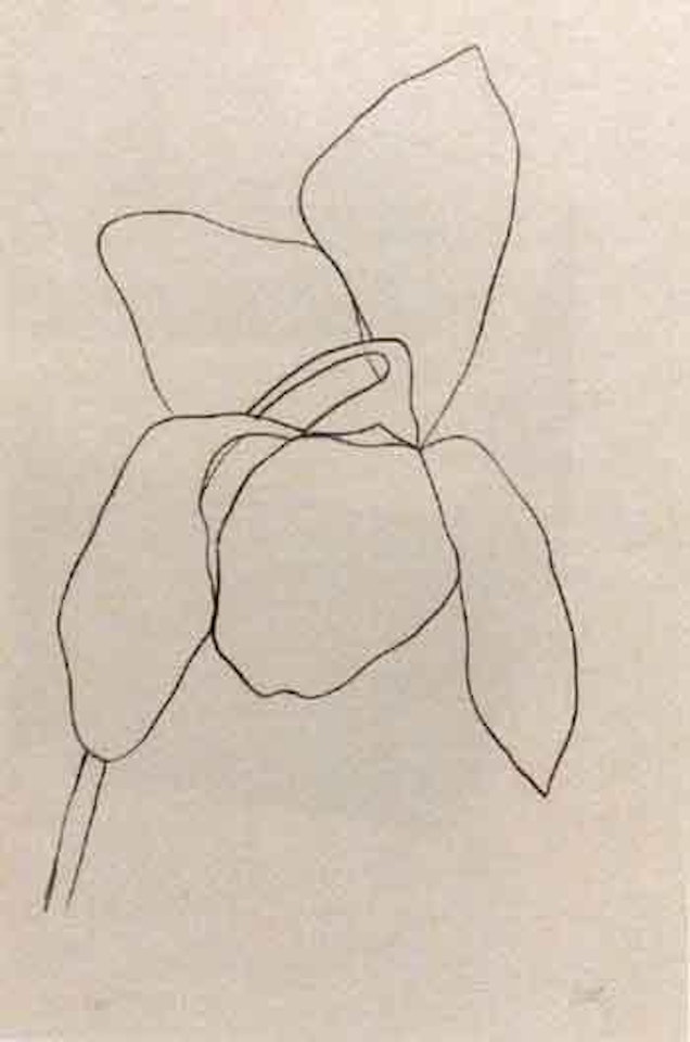 Cyclamen I by Ellsworth Kelly